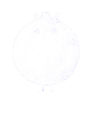 Platform - Newsletter Sign-Up